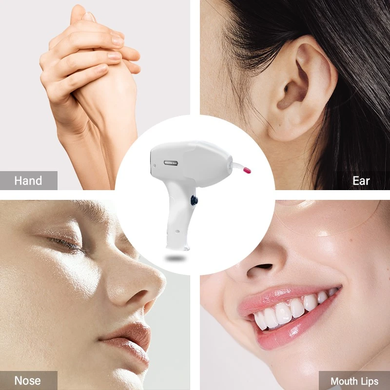 product-800-800